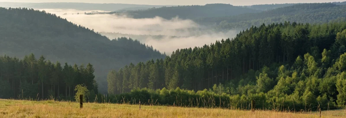 L'Enfer de la Boulette 2026