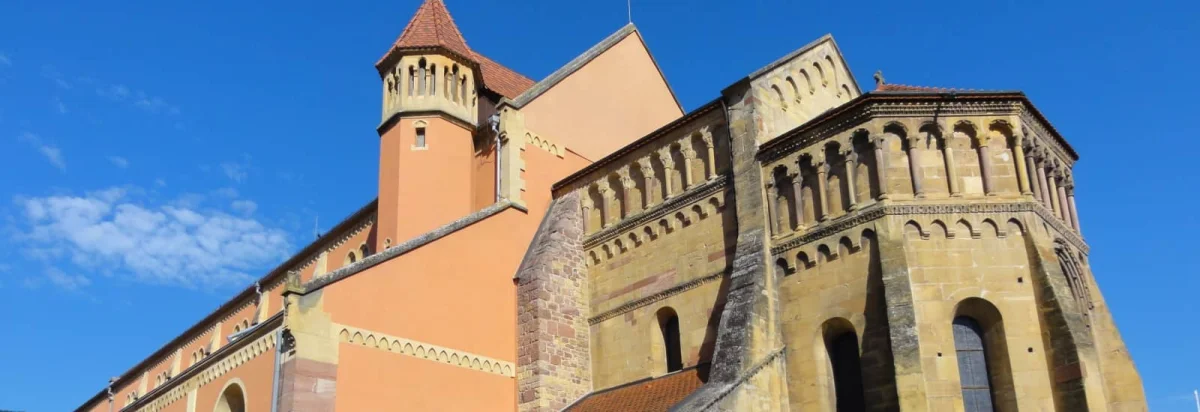 Trail des Elfes & Druides 2026