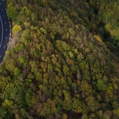 L'Enfer Des Nutons 2026