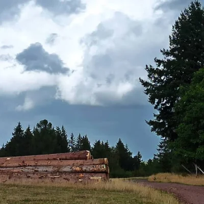 Les Colberyennes 2026