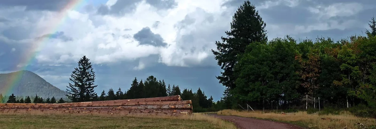 Les Colberyennes 2026