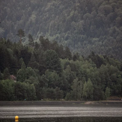 Light on Trail Pierre-Percée 2026 - Photo 1