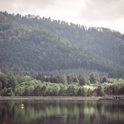 Light on Trail Pierre-Percée 2026 - Photo 3