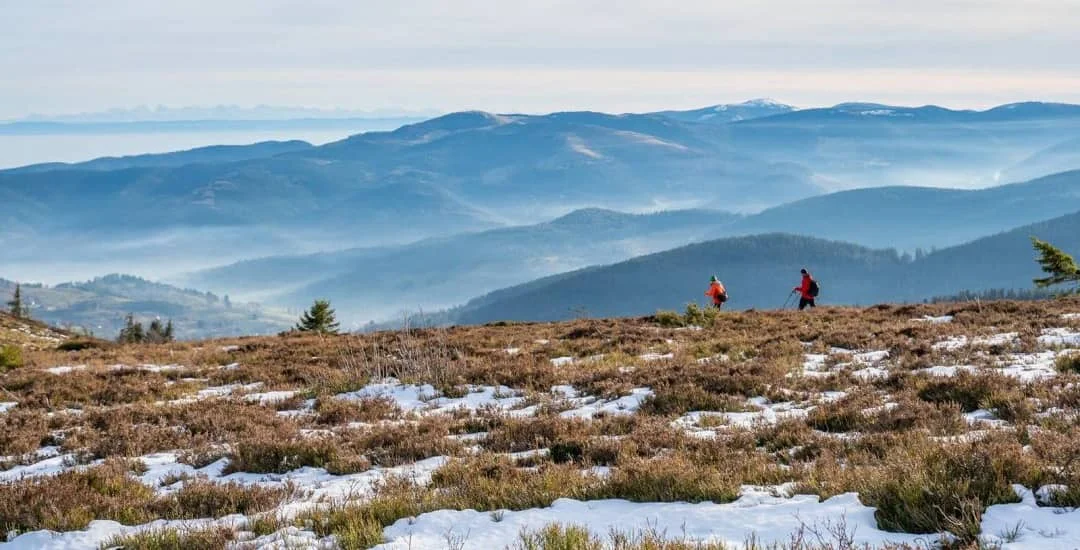 Trail des Callunes 2026