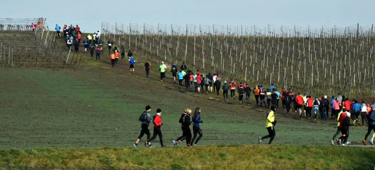 Les Courses des Casemates 2026
