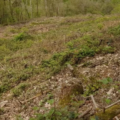 Trail des Torés 2026