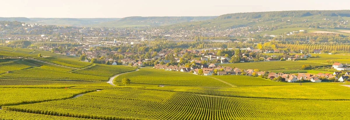 10 Km de Saint Brice 2026