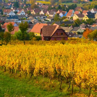 Course de la mutterkirche 2026