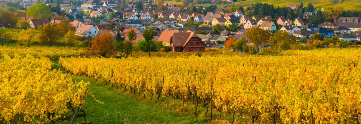 Course de la mutterkirche 2026