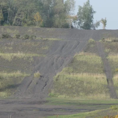 Trail des Zèbres 2026 - Photo 3