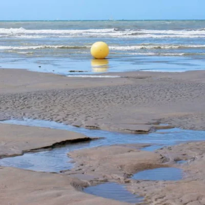 Trail du Caillou 2026