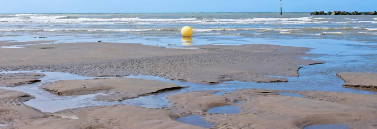 Trail du Caillou 2026