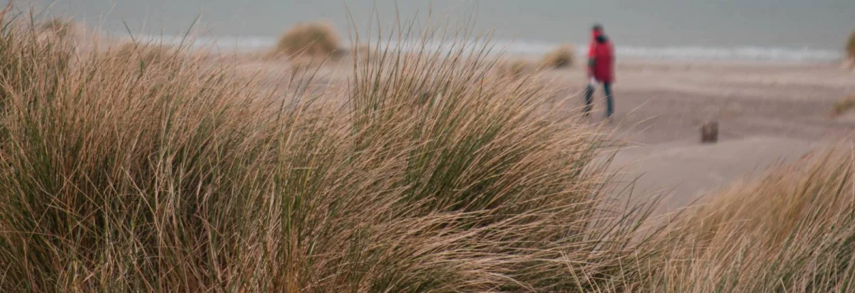 Printanieres de Saultain 2026