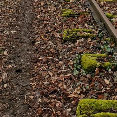 Trail Evasion en Pays de Lumbres 2026