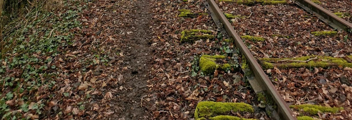 Trail Evasion en Pays de Lumbres 2026