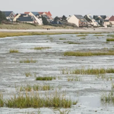 Trail des Anguillères 2026
