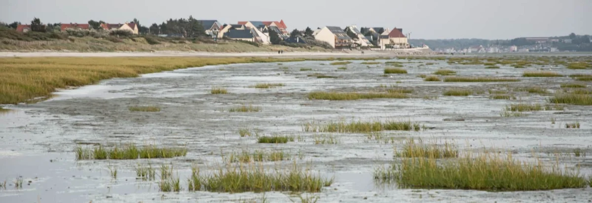Trail des Anguillères 2026