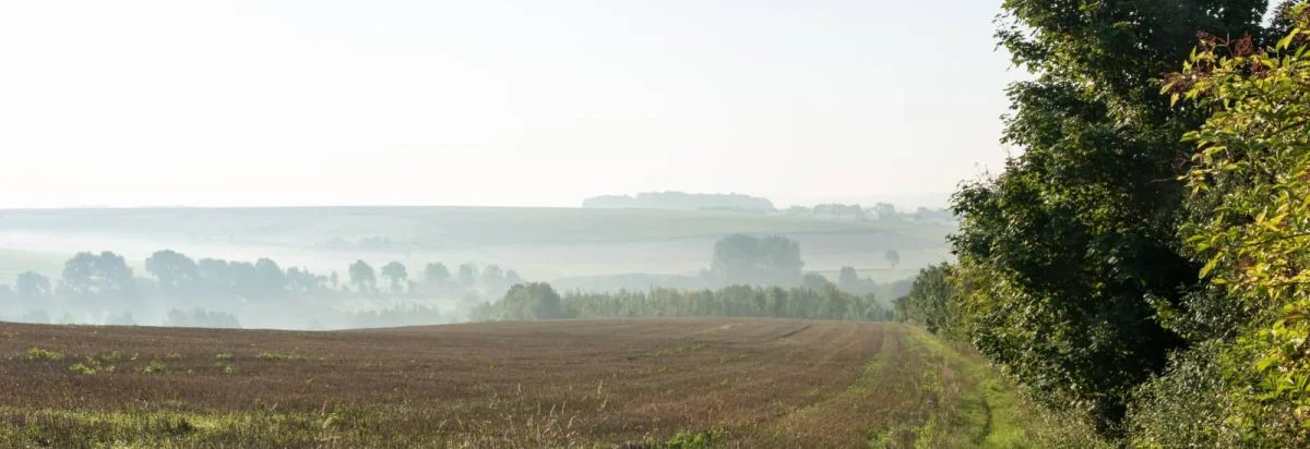 Trail de la Vallée de la Course 2026