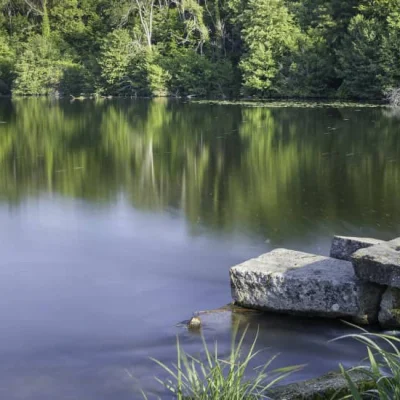 Neuilly en Trail 2026