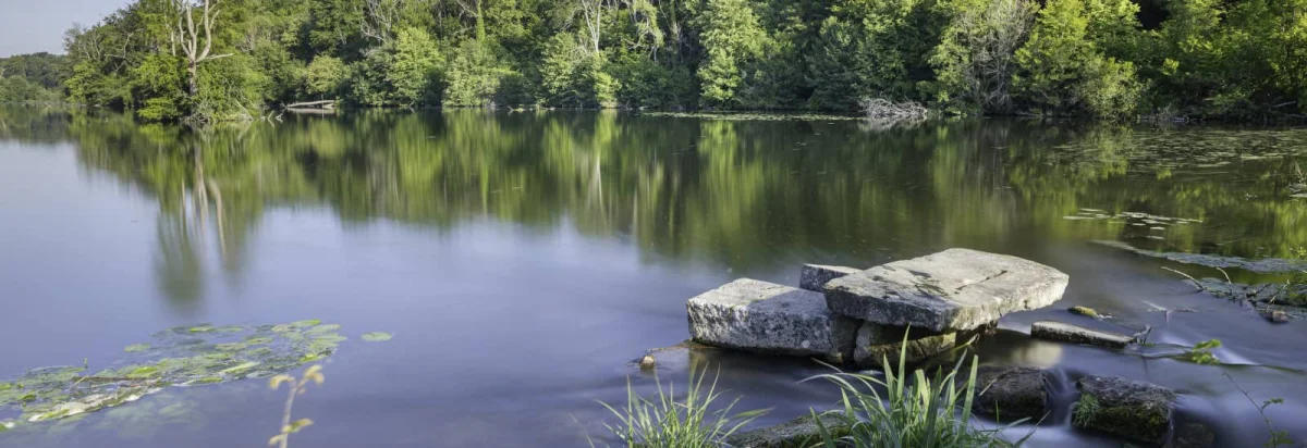 Neuilly en Trail 2026