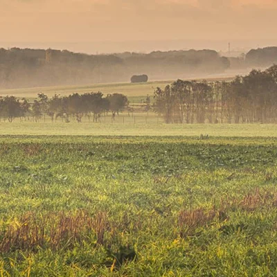 Trail Tour du Massif Montmorencéen 2026