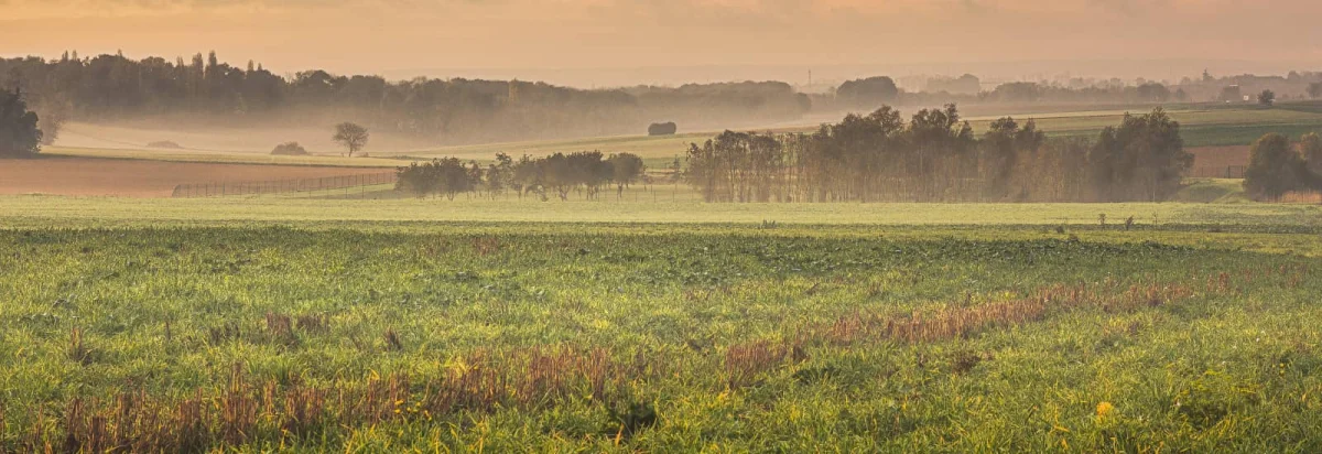 Trail Tour du Massif Montmorencéen 2026