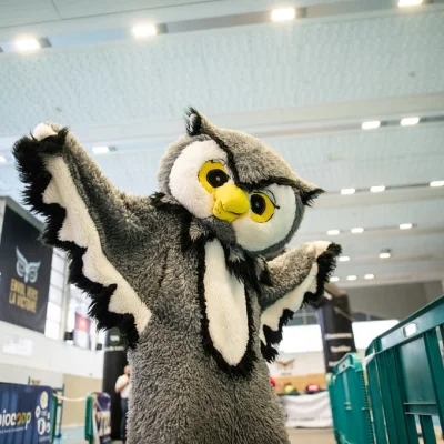 La Ronde du Hibou 2026 - Photo 3