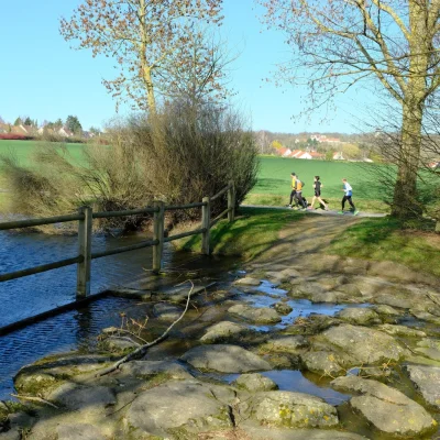 Semi-Marathon de Saint-Witz 2026 - Photo 3