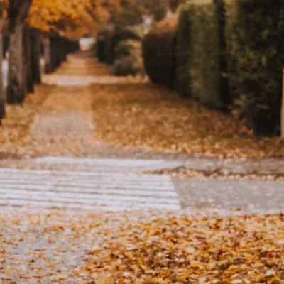 Foulées d'Aubergenville 2026