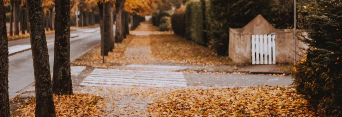 Foulées d'Aubergenville 2026