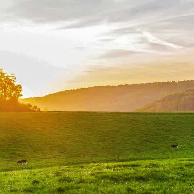 Trail des Loups Moyon 2026