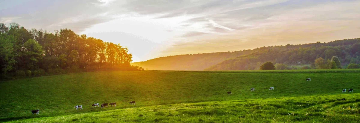 Trail des Loups Moyon 2026