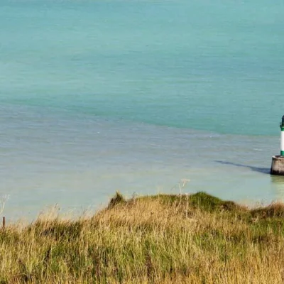 Trail de la Ronce 2026