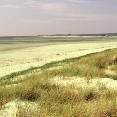 La Diabolik de Ragnar 2026