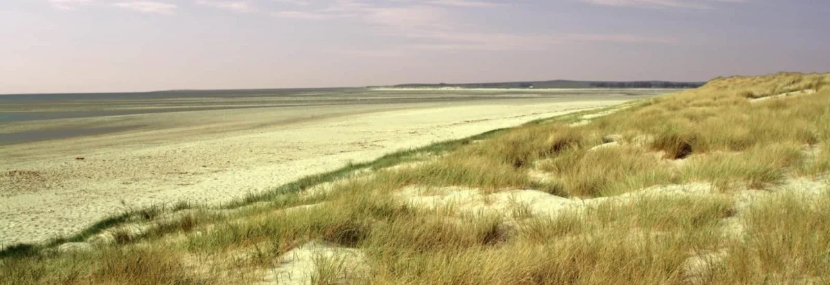 La Diabolik de Ragnar 2026