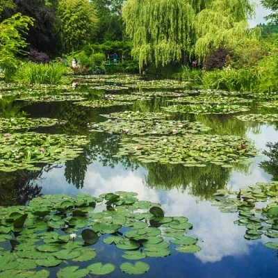 trail de la vallée de l'Oison 2026
