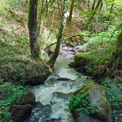 Trail Passe Partout Triouzoune 2026 - Photo 4