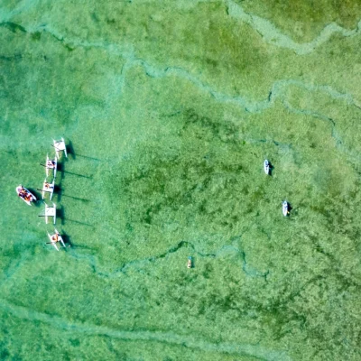 Ultra Trail de l'Île d'Oléron 2026 - Photo 1