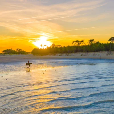 Ultra Trail de l'Île d'Oléron 2026 - Photo 2