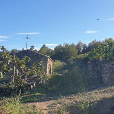 Les Foulées du Rail 2026 - Photo 6