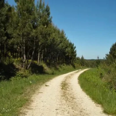 La Course du Mouton 2026 - Photo 2