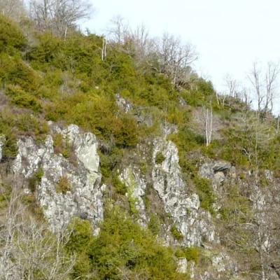 Trail des Gorges de l'Auvézère 2026