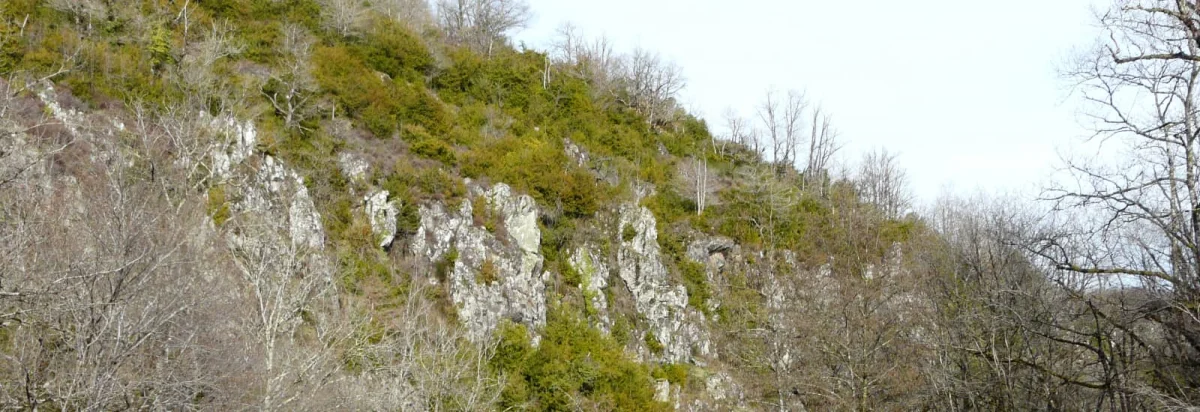 Trail des Gorges de l'Auvézère 2026