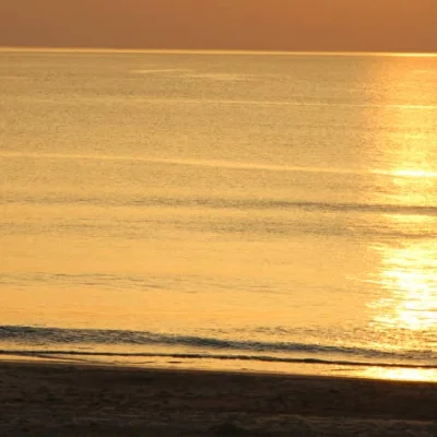 Trail du Marensin 2026