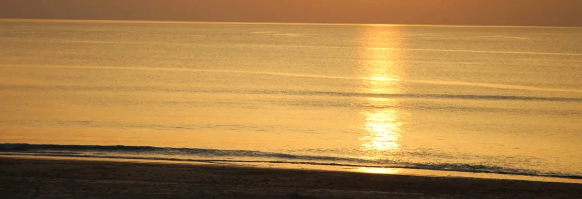 Trail du Marensin 2026