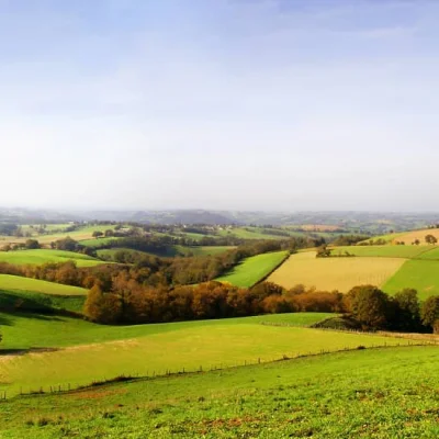 Foulées Saint-Selvaises 2026