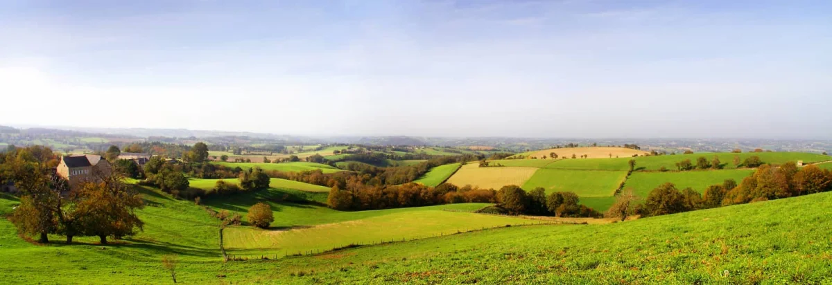 Foulées Saint-Selvaises 2026