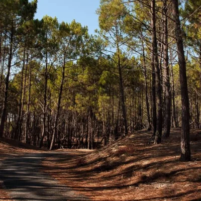 Semi-Marathon de la Presqu’île 2026
