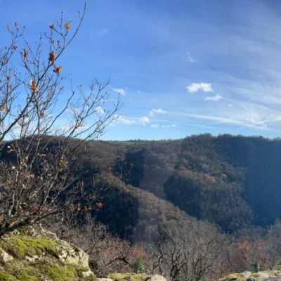 Le Printemps de l'ACVR 2026 - Photo 1