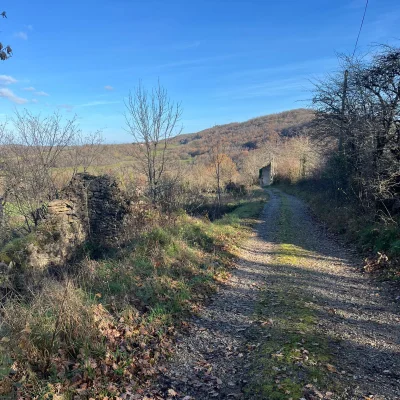 Le Printemps de l'ACVR 2026 - Photo 2